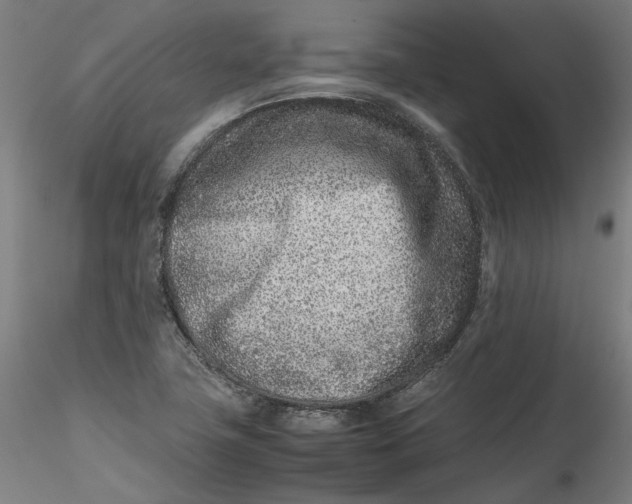 X0000115541411200911271359