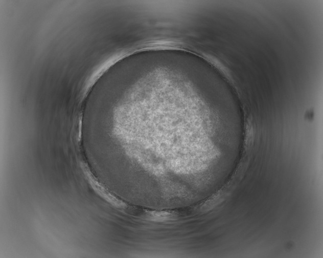 X0000115541413200911271359