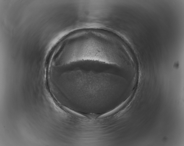 X0000115541414200911271359