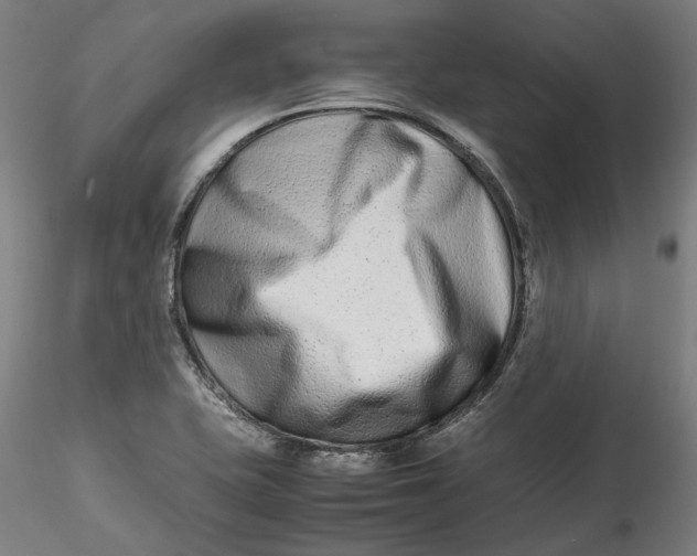 X0000115541415200911271359