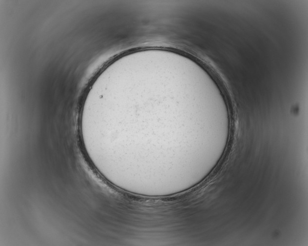 X0000115541416200911271359