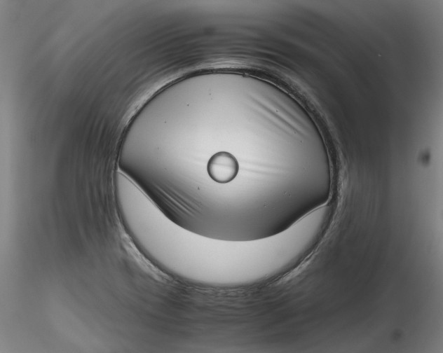 X0000115541417200911271359