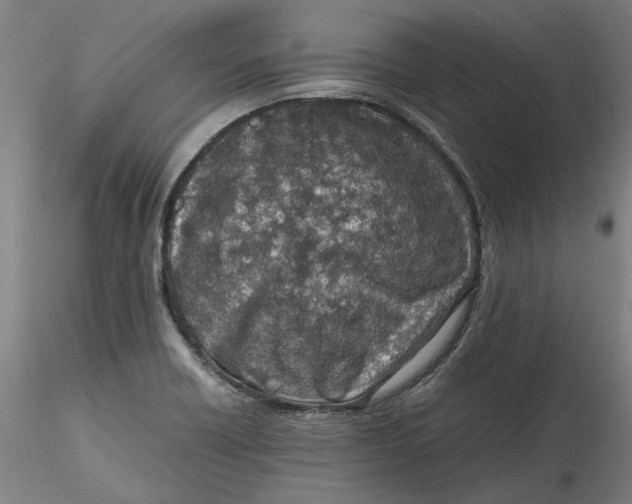 X0000115541418200911271359