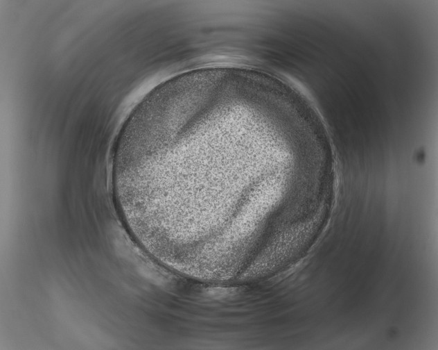 X0000115541419200911271359