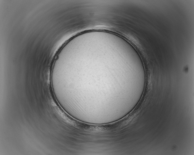 X0000115541420200911271359