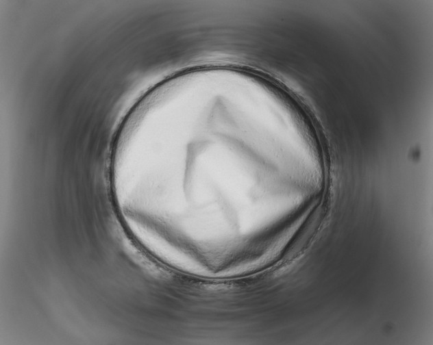 X0000115541421200911271359