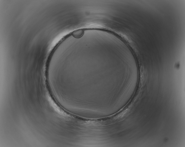 X0000115541422200911271359