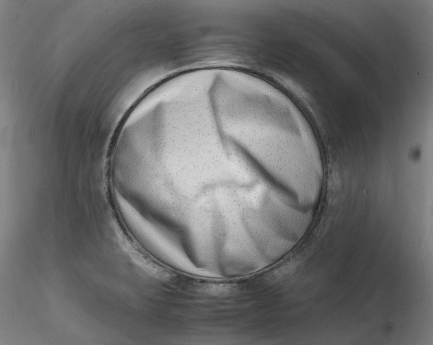 X0000115541423200911271359