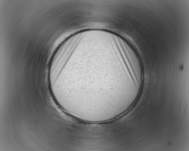 X0000115541424200911271359