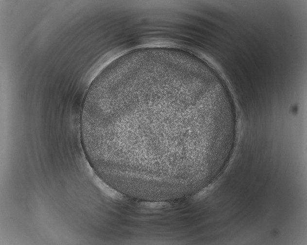 X0000115541425200911271359