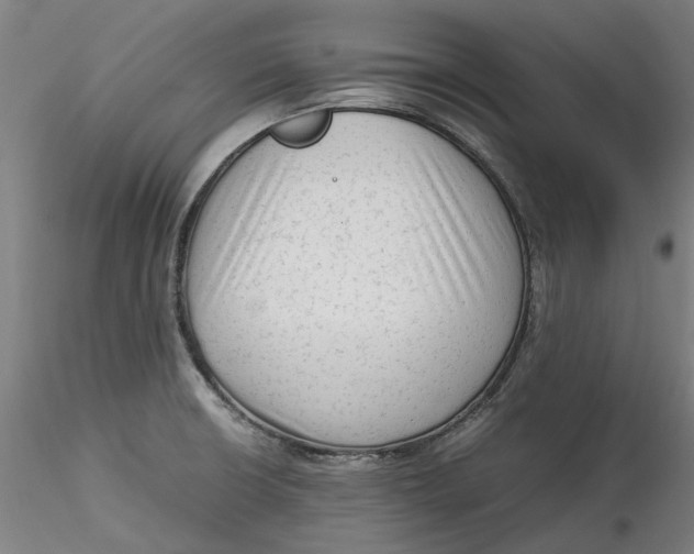 X0000115541426200911271359