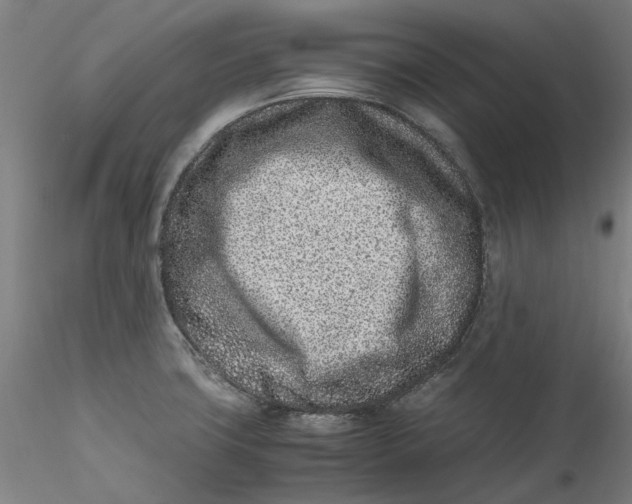 X0000115541427200911271359