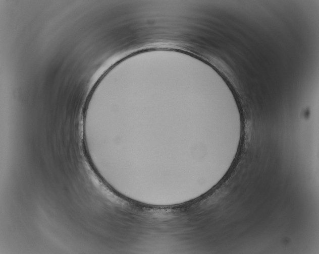 X0000115541428200911271359