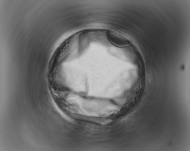 X0000115541429200911271359