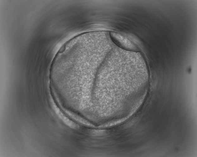 X0000115541431200911271359