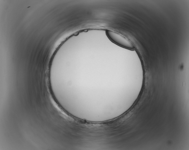 X0000115541432200911271400