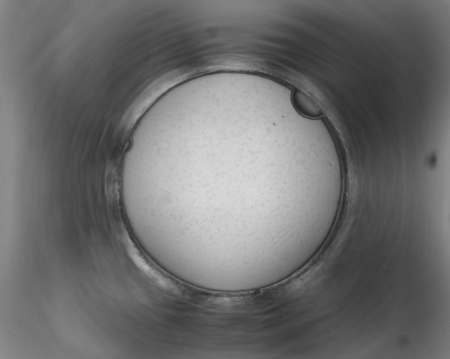 X0000115541433200911271400