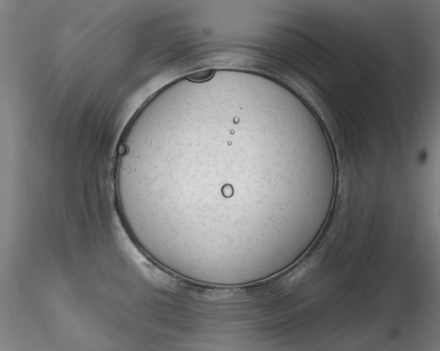 X0000115541434200911271400