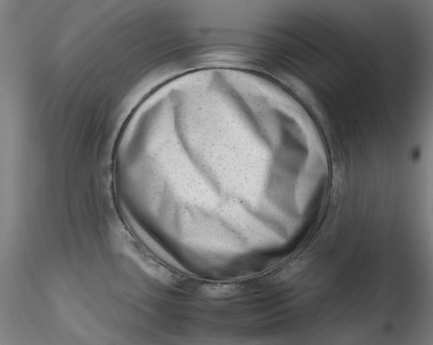 X0000115541435200911271400