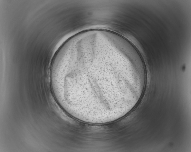 X0000115541436200911271400