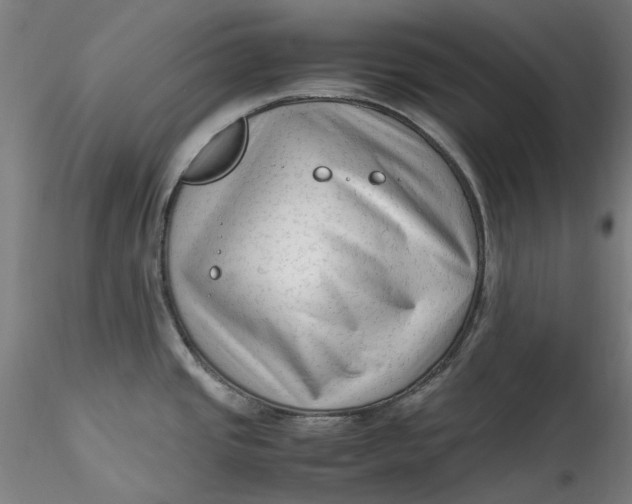 X0000115541437200911271400