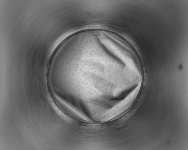 X0000115541438200911271400