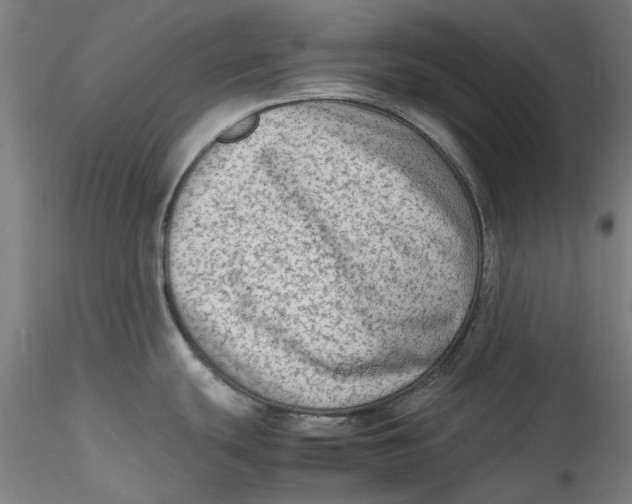 X0000115541439200911271400