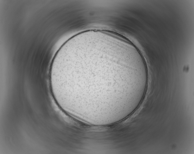 X0000115541440200911271400