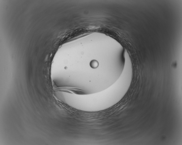 X0000115541441200911271359