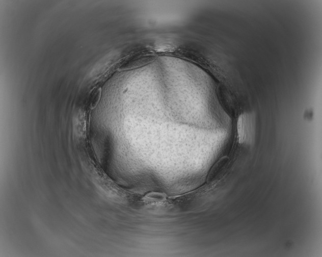 X0000115541443200911271359