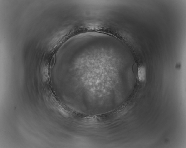 X0000115541444200911271359