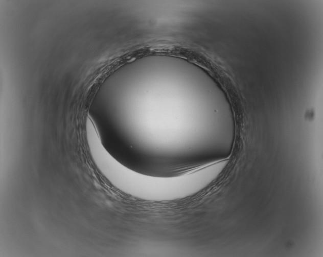 X0000115541445200911271359