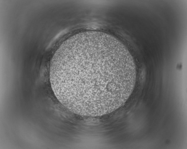 X0000115541446200911271359