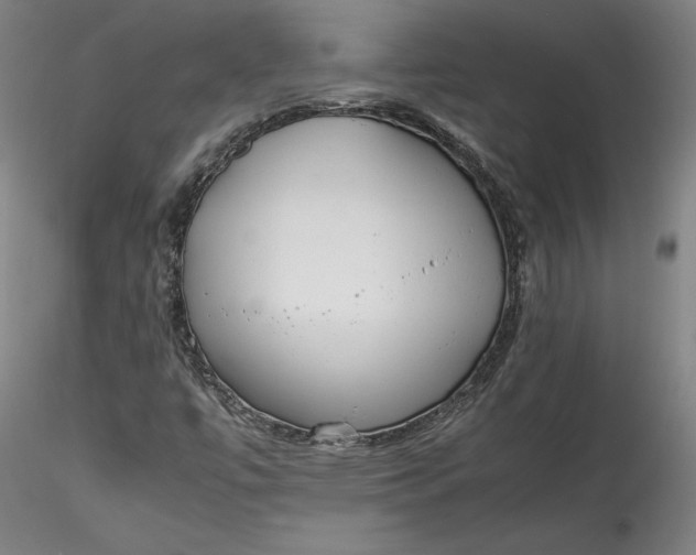 X0000115541447200911271359