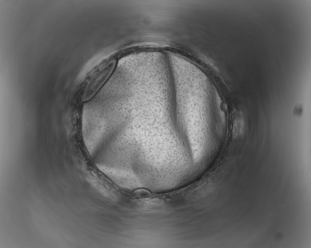 X0000115541448200911271359