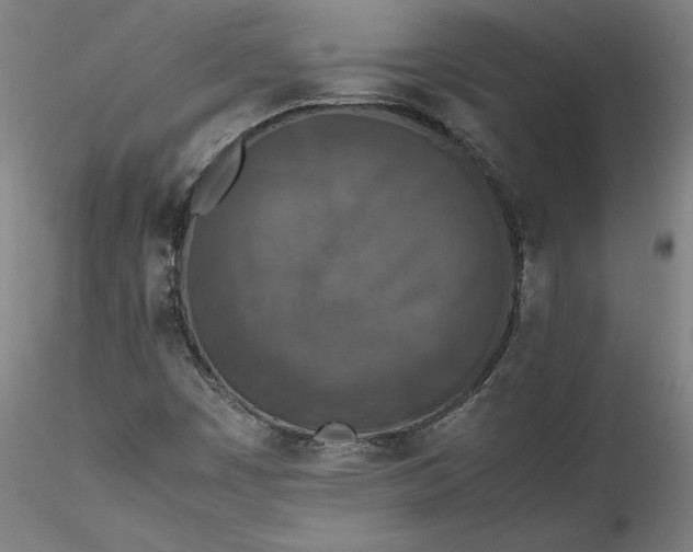 X0000115541449200911271359