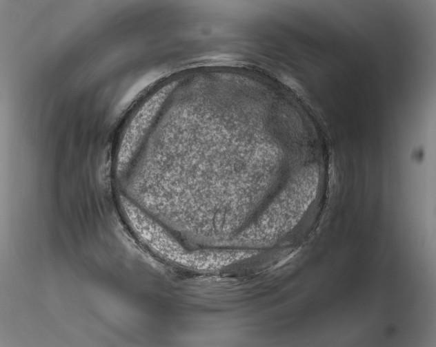 X0000115541450200911271359