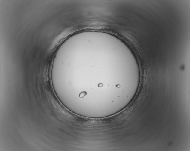 X0000115541451200911271359