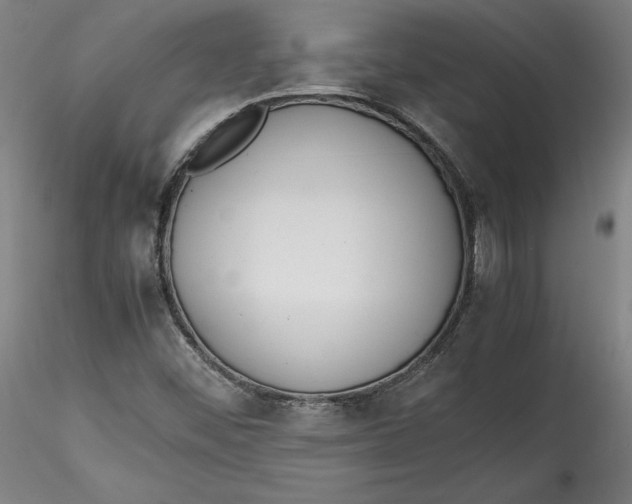 X0000115541452200911271359