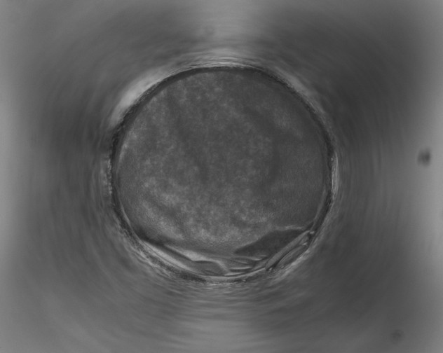 X0000115541453200911271359