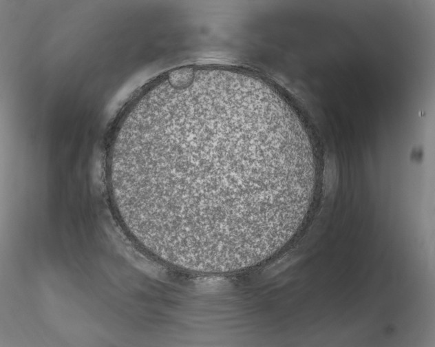 X0000115541454200911271359