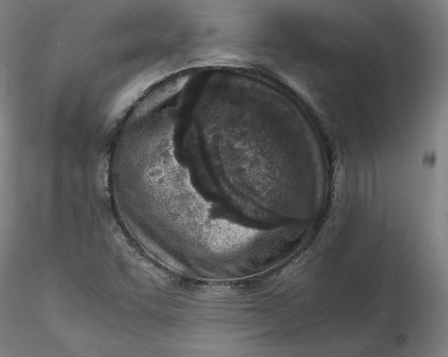 X0000115541455200911271359