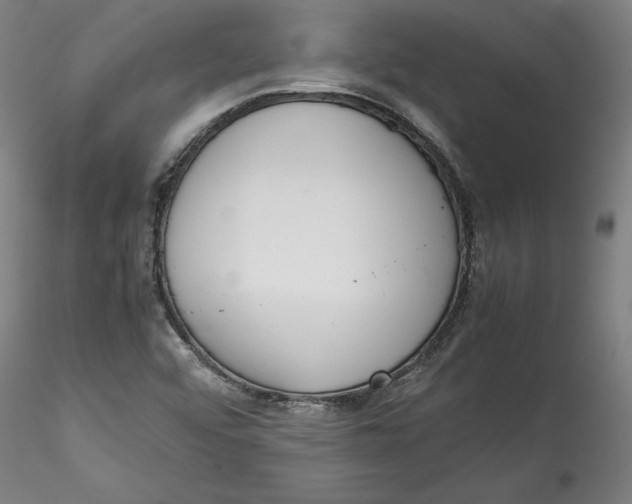 X0000115541456200911271359