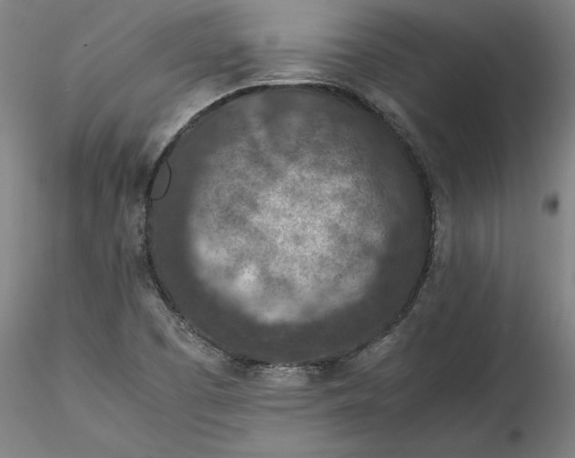 X0000115541457200911271359