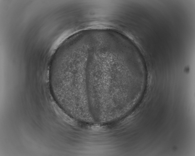 X0000115541459200911271359