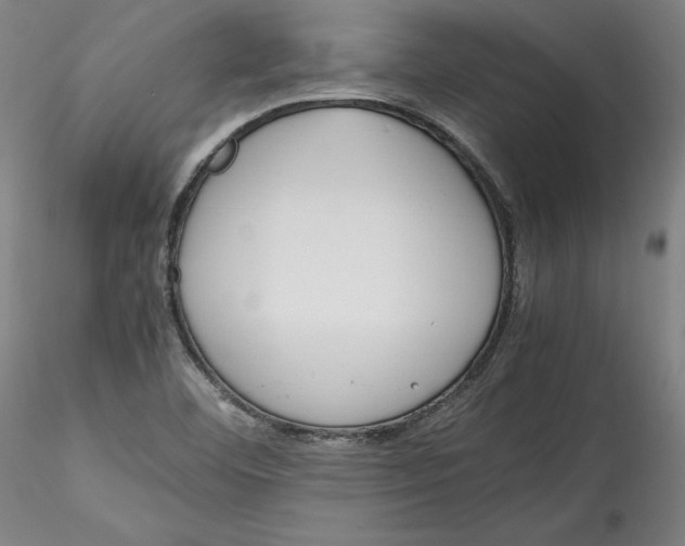 X0000115541460200911271359