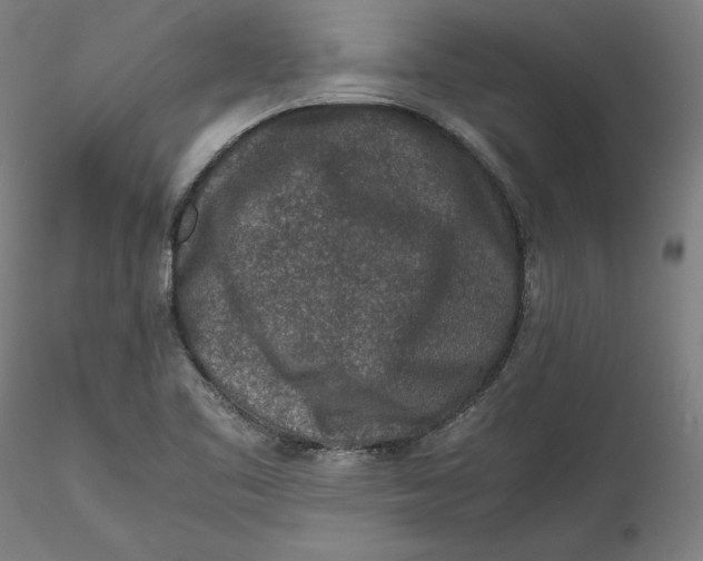 X0000115541461200911271359