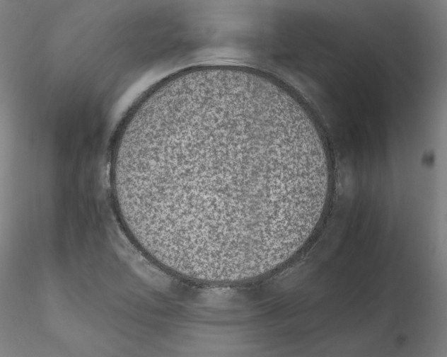 X0000115541462200911271358