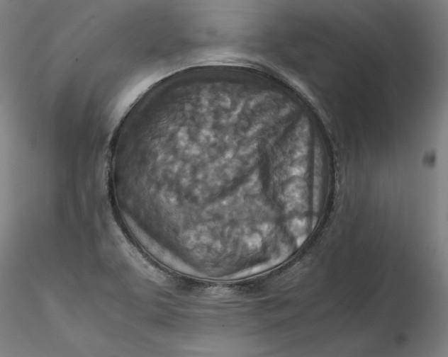 X0000115541463200911271358