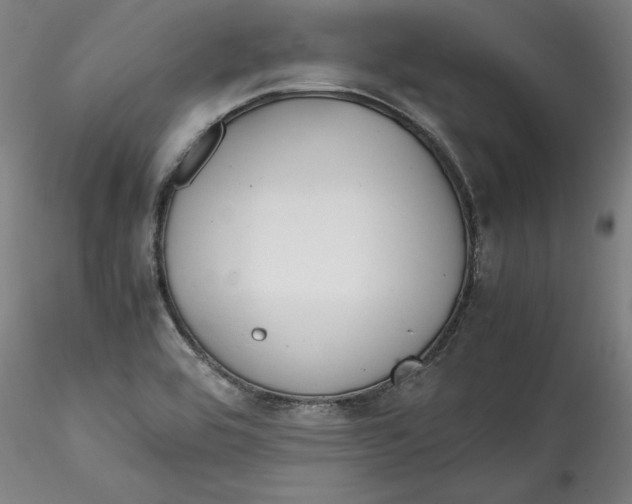 X0000115541464200911271358